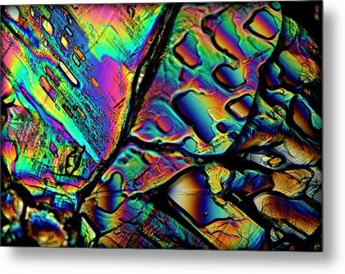 Blithe - Metal Print