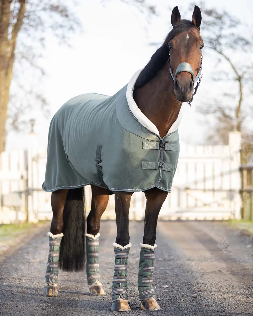 QHP Travelling Boots "Stirrup"